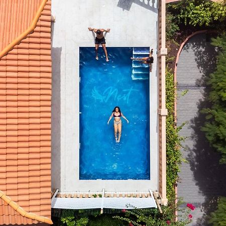 Duque Nest Hostel Адехе Екстер'єр фото