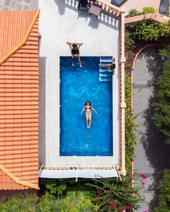 Duque Nest Hostel Адехе Екстер'єр фото